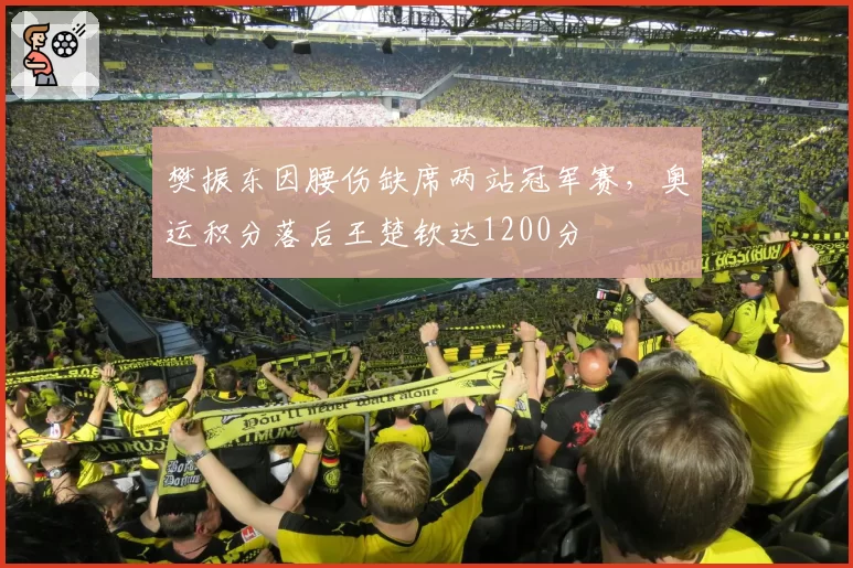 樊振东因腰伤缺席两站冠军赛,奥运积分落后王楚钦达1200分