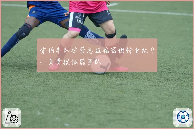 索伯车队运营总监施密德转会红牛，负责模拟器团队