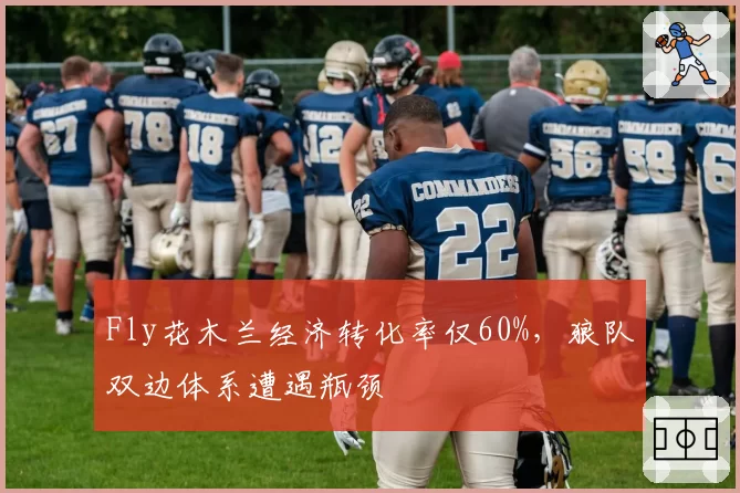 Fly花木兰经济转化率仅60%，狼队双边体系遭遇瓶颈